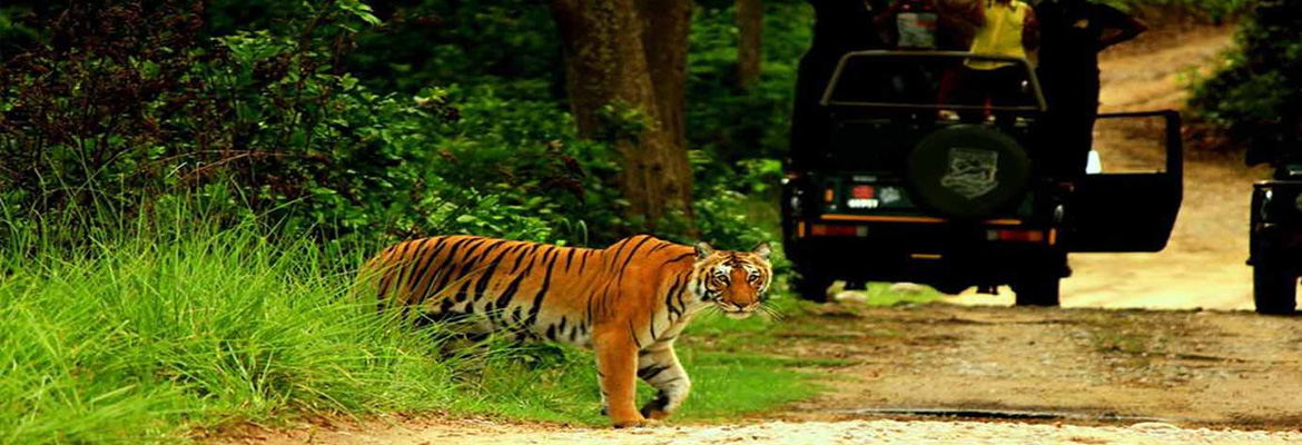 Nainital Haridwar